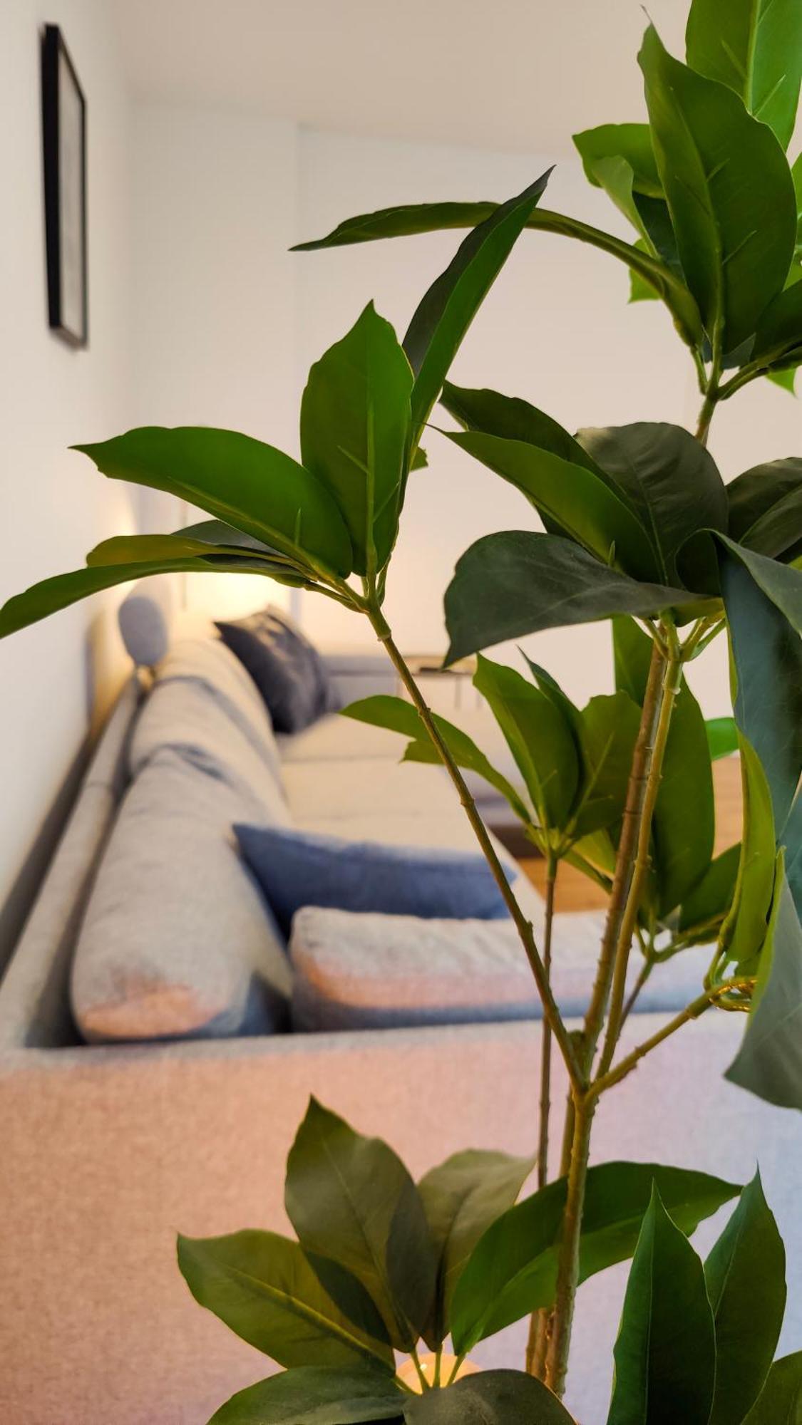 Hygge Home - Mit Garten Und Stellplatz Fuer Feriengaeste-, Monteure / Netflix / 10 Min. Zur Sinsheim Therme Und Zur Autobahn Экстерьер фото